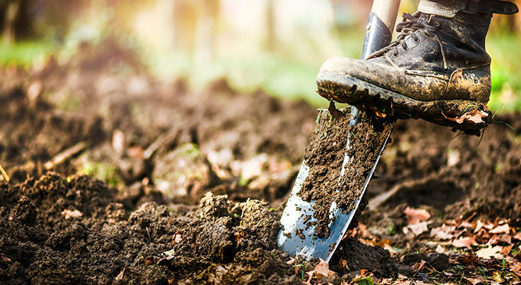 Comment préparer la terre de son jardin ?